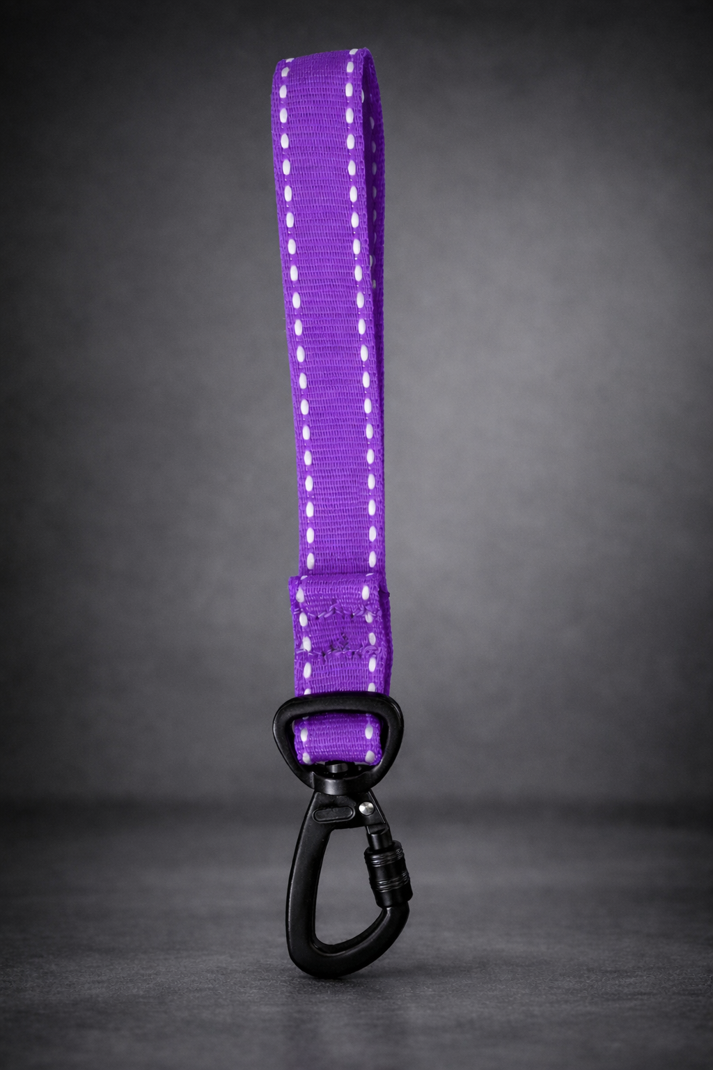 Collar Halti talla M + cordon de seguridad