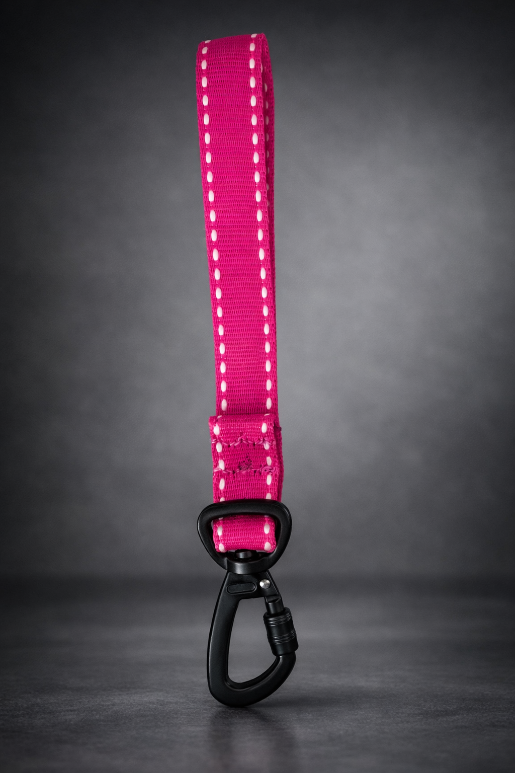 Collar Halti talla XL + cordon de seguridad