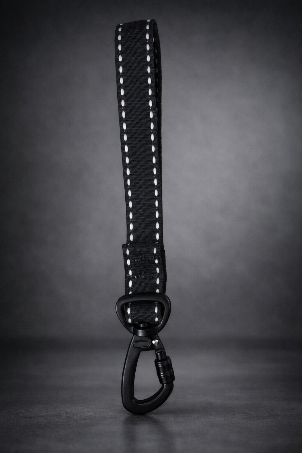 Collar Halti talle L + cordon de seguridad