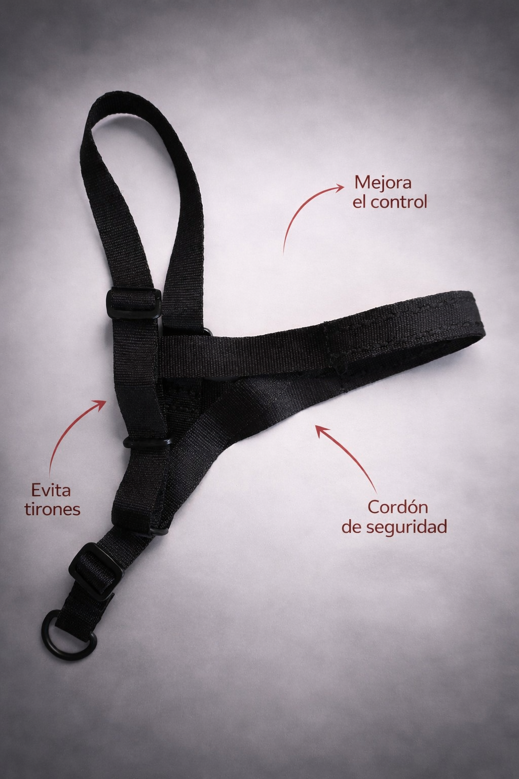 Collar Halti talle L + cordon de seguridad